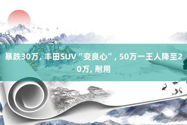 暴跌30万, 丰田SUV“变良心”, 50万一王人降至20万, 耐用