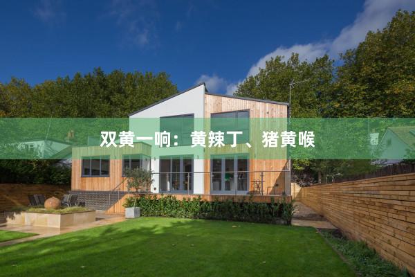 双黄一响：黄辣丁、猪黄喉