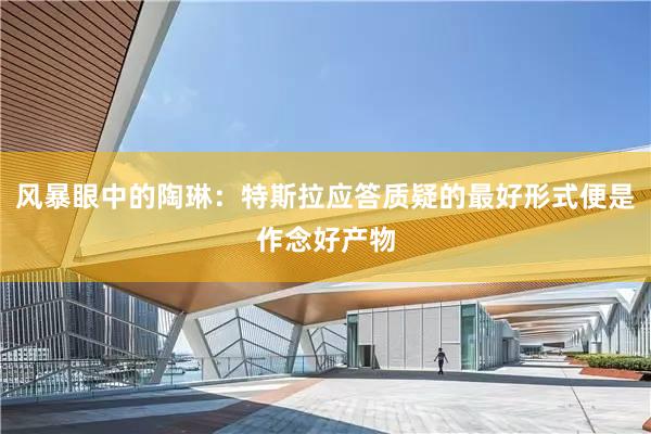 风暴眼中的陶琳：特斯拉应答质疑的最好形式便是作念好产物
