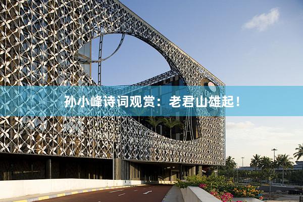 孙小峰诗词观赏：老君山雄起！