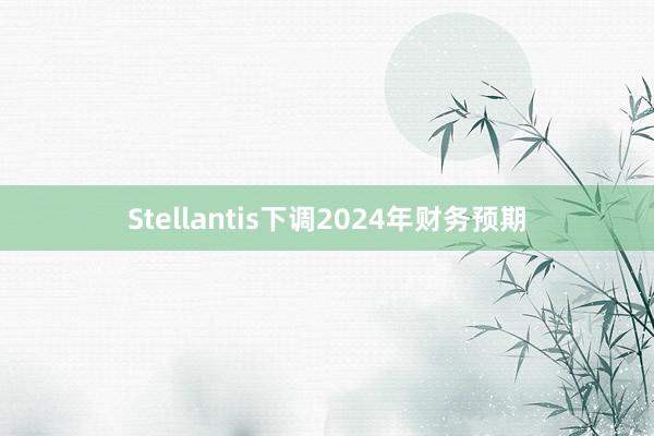 Stellantis下调2024年财务预期