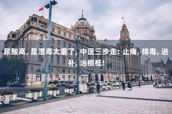 尿酸高, 是湿毒太重了, 中医三步走: 止痛, 排毒, 进补, 治根柢!