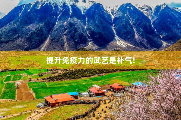 提升免疫力的武艺是补气!