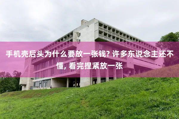 手机壳后头为什么要放一张钱? 许多东说念主还不懂, 看完捏紧放一张