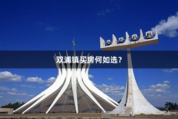 双浦镇买房何如选？