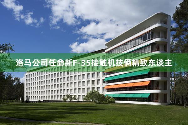 洛马公司任命新F-35接触机技俩精致东谈主