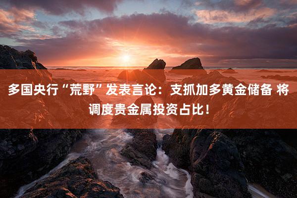 多国央行“荒野”发表言论：支抓加多黄金储备 将调度贵金属投资占比！