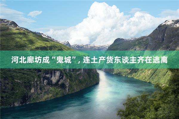 河北廊坊成“鬼城”, 连土产货东谈主齐在逃离