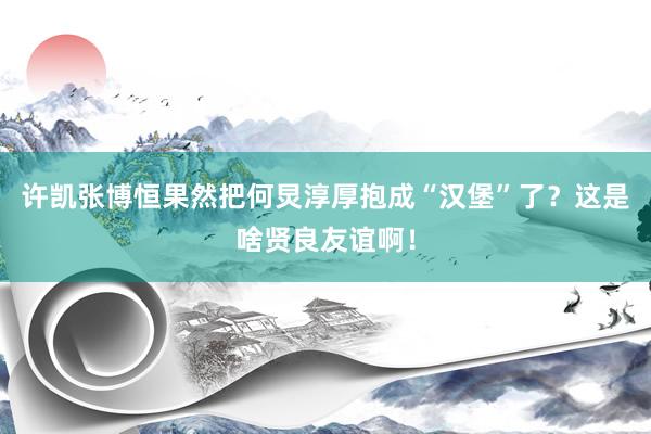许凯张博恒果然把何炅淳厚抱成“汉堡”了？这是啥贤良友谊啊！