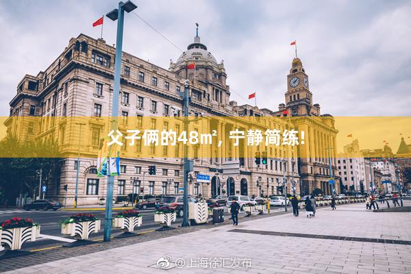 父子俩的48㎡, 宁静简练!