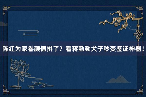 陈红为家眷颜值拼了？看蒋勤勤犬子秒变鉴证神器！