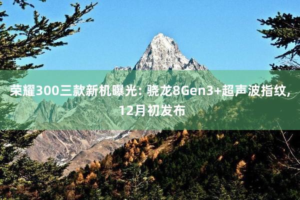 荣耀300三款新机曝光: 骁龙8Gen3+超声波指纹, 12月初发布