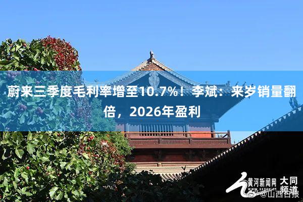 蔚来三季度毛利率增至10.7%！李斌：来岁销量翻倍，2026年盈利