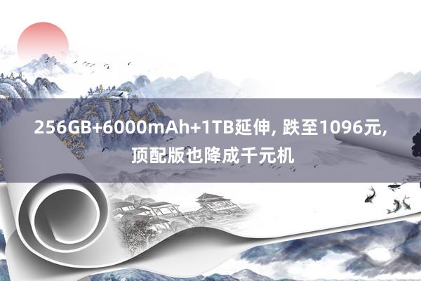 256GB+6000mAh+1TB延伸, 跌至1096元, 顶配版也降成千元机