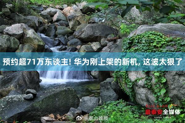 预约超71万东谈主! 华为刚上架的新机, 这波太狠了