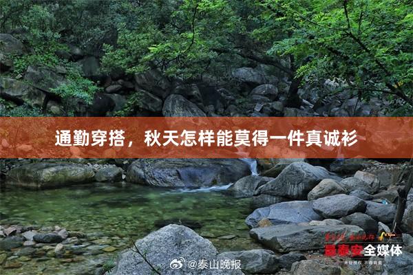 通勤穿搭，秋天怎样能莫得一件真诚衫