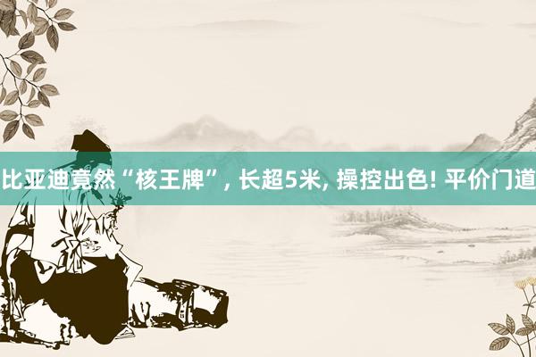 比亚迪竟然“核王牌”, 长超5米, 操控出色! 平价门道