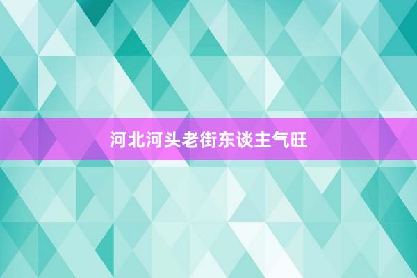 河北河头老街东谈主气旺