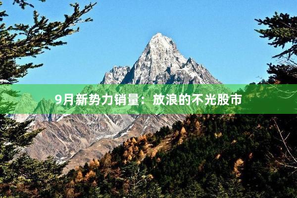 9月新势力销量：放浪的不光股市