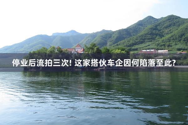 停业后流拍三次! 这家搭伙车企因何陷落至此?