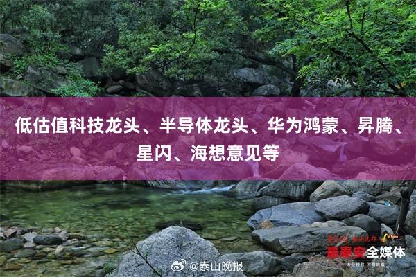 低估值科技龙头、半导体龙头、华为鸿蒙、昇腾、星闪、海想意见等