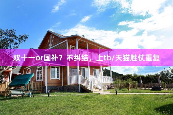 双十一or国补？不纠结，上tb/天猫胜仗重复