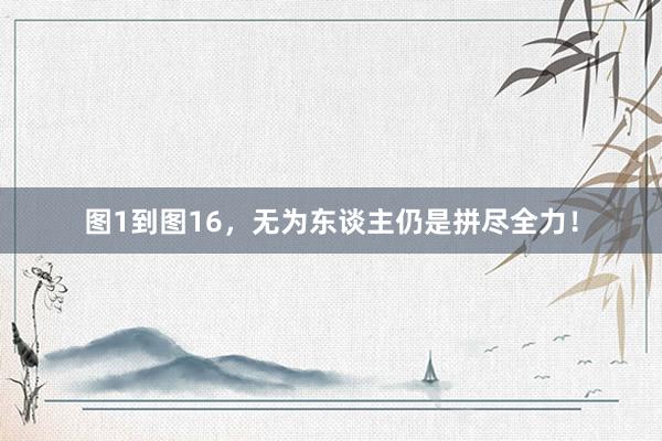 图1到图16,无为东谈主仍是拼尽全力!